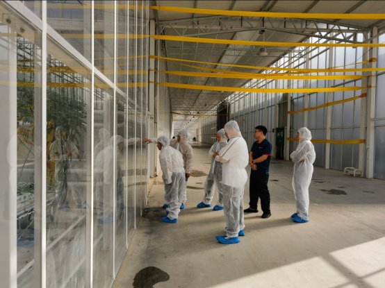 赤峰市设施蔬菜种植迈向高质量发展新阶段